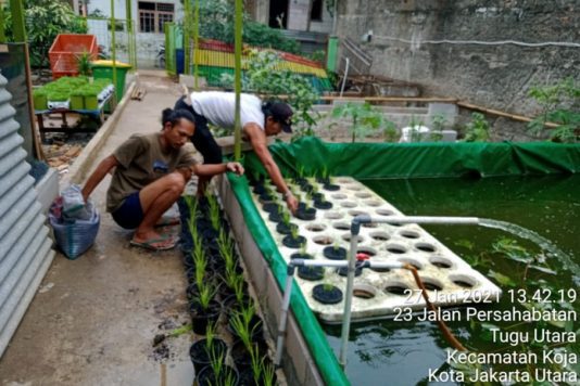 Mengenal Dani Arwanto Peraih Kalpataru Dari Koja Jakarta Utara Radio