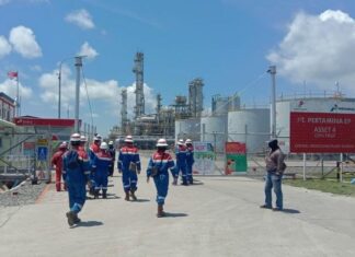 Pertamina EP Asset 4