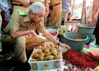 Pengecekan stok bahan pangan