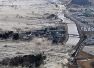 Megathrust Earthquake Japan 2011