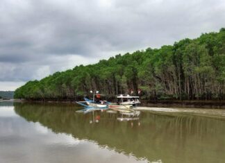 Teluk Pangpang