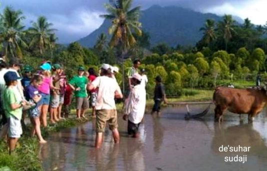 Mengenal Desa Wisata Sudaji Buleleng Bali Bersama Gede Suharsana Radio Idola Semarang